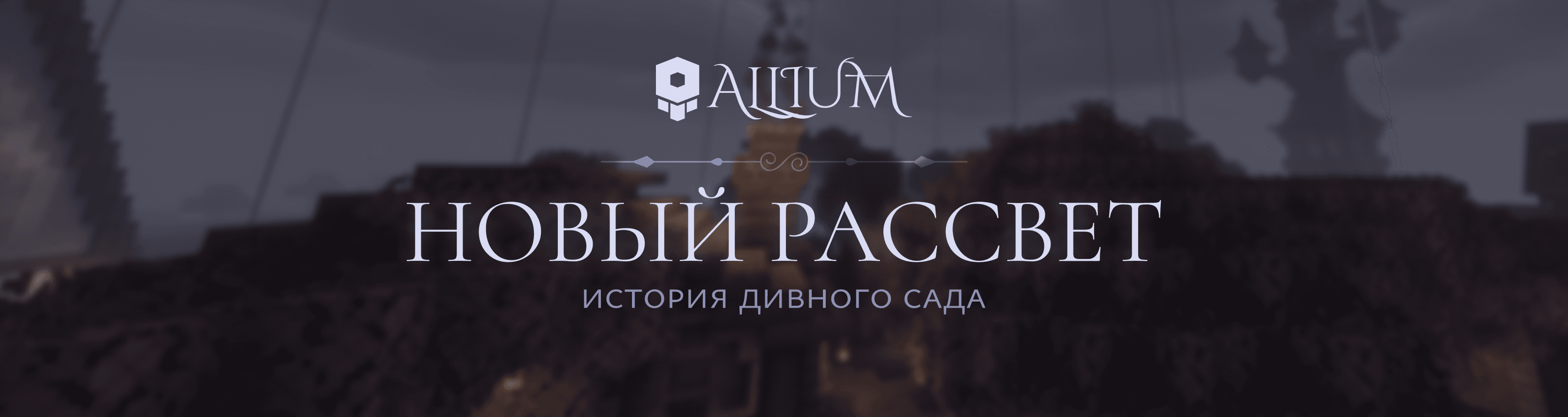 новый рассвет