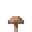 brown_mushroom